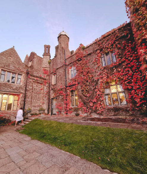 Gardens grounds at eastwell manor hotel and spa kent