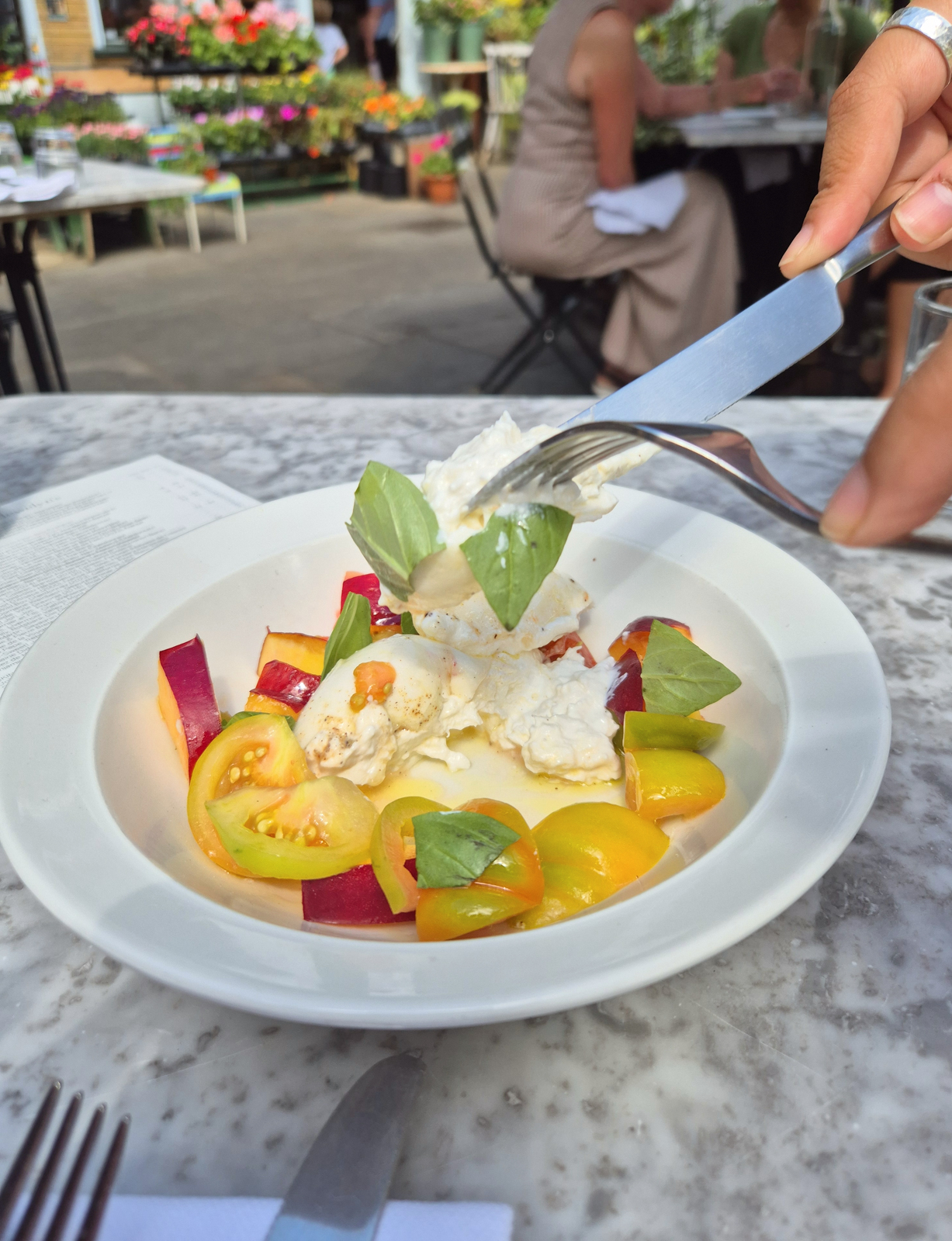 burrata and nectarine starter at Llewelyns restaurant Herne Hill London review